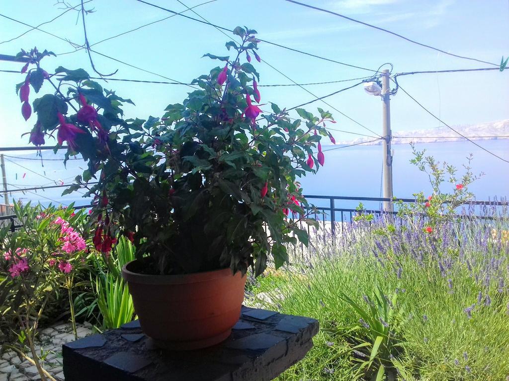 Apartma Apartment Little Princess Dora