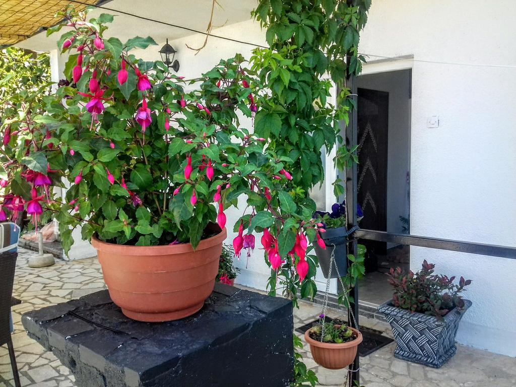 Apartment Little Princess Dora Apartma